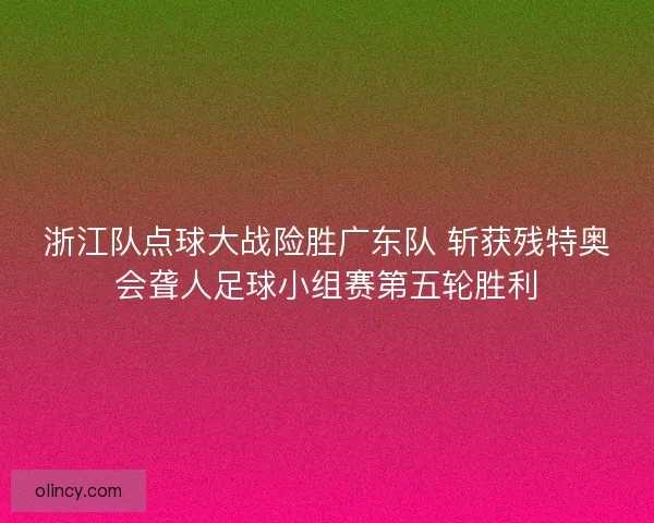 浙江队点球大战险胜广东队 斩获残特奥会聋人足球小组赛第五轮胜利